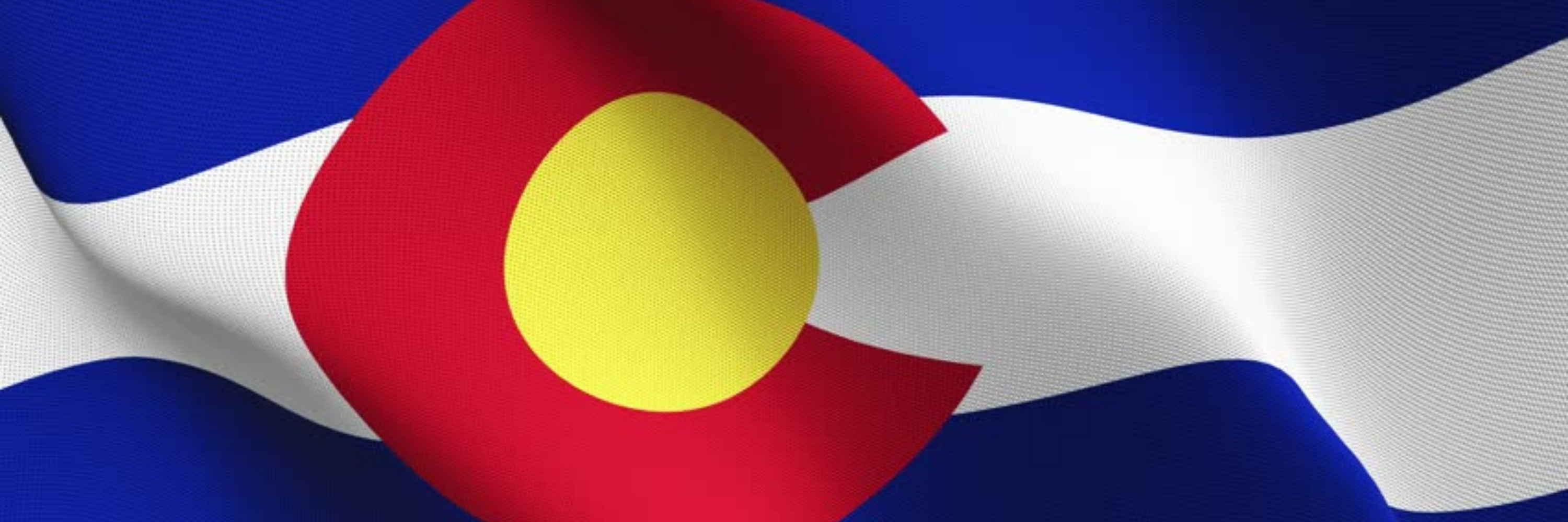Colorado Brady List