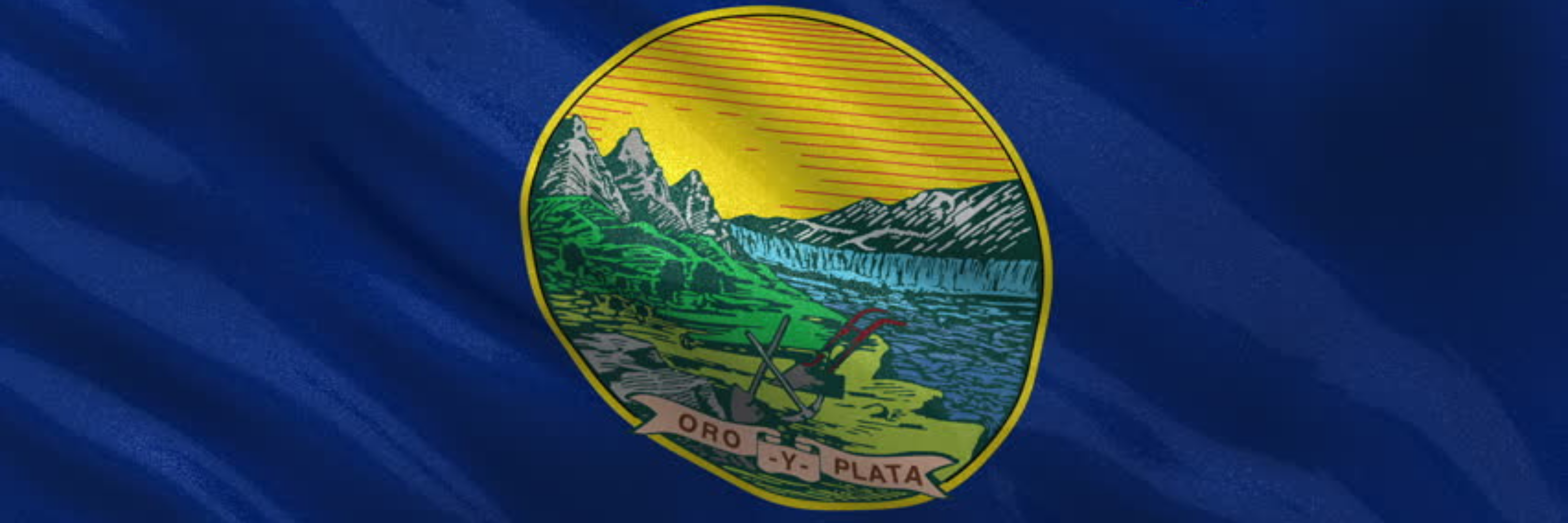 Montana Brady List